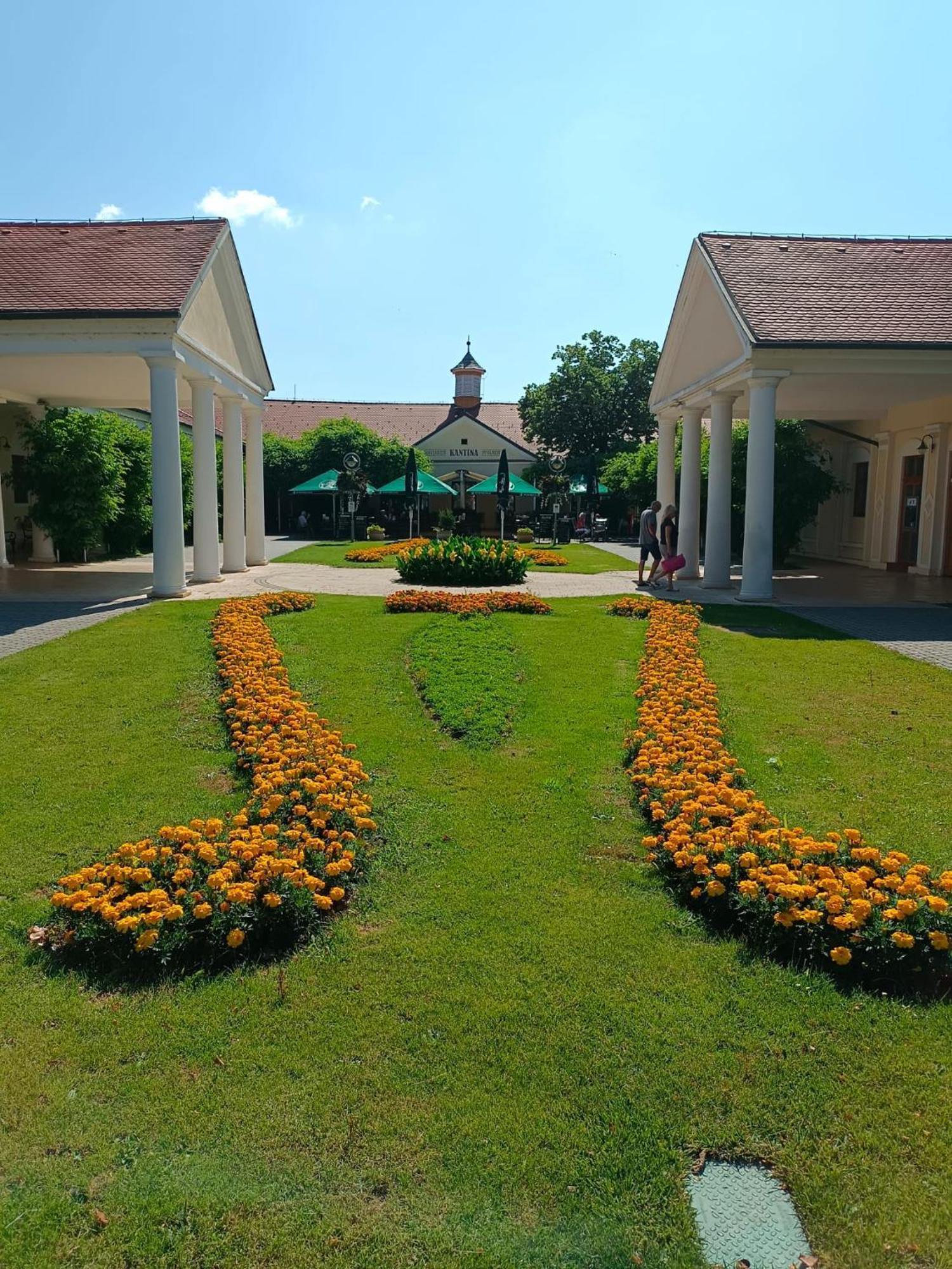 Leier Apartments Piest'any Dış mekan fotoğraf