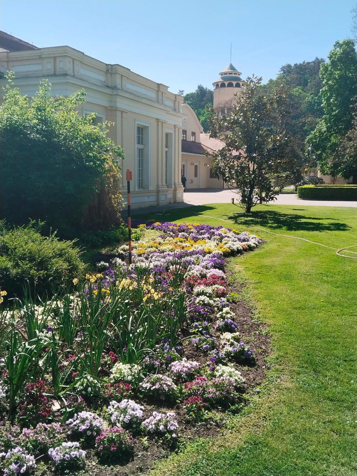 Leier Apartments Piest'any Dış mekan fotoğraf